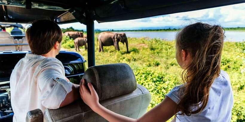 From Colombo: Yala National Park Safari with Transfer - Pickup To Yala: The Comfortable Transfer From Colombo