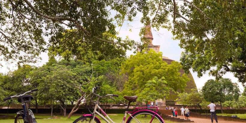 From Dambulla/ Sigiriya: Ancient City of Polonnaruwa by Bike - Polonnaruwa by Bike, With a Tuk-Tuk Start