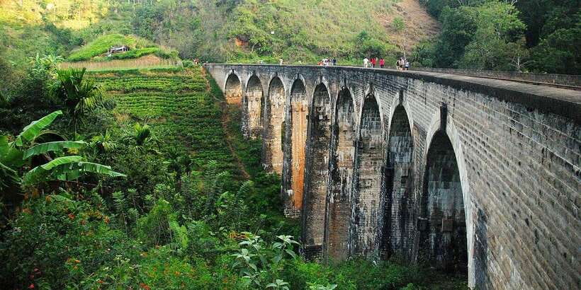 From Ella- All inclusive Day Trip of 8 Iconic Sights & Train - Who This Tour Suits Best (And Who Should Plan Differently)