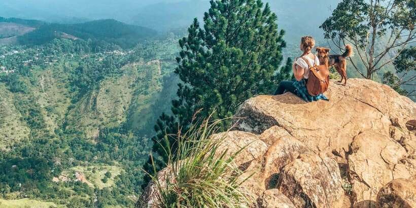 From Ella- All inclusive Day Trip of 8 Iconic Sights & Train - Flying Ravana Mega Zipline: Worth It or Skip It