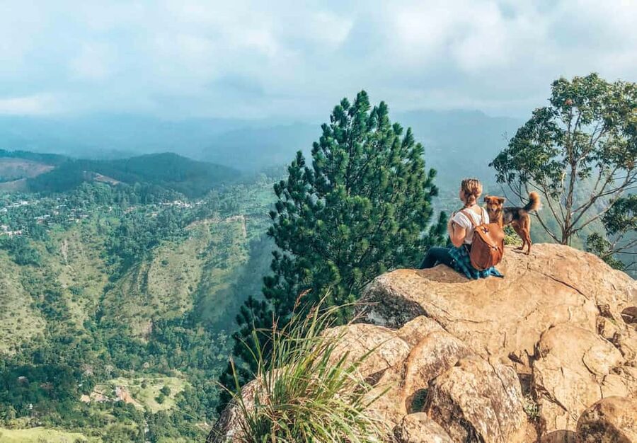From Ella - Day Trip of 8 Iconic Sights & Scenic Train Ride - Ravana Falls and the first big photo stop
