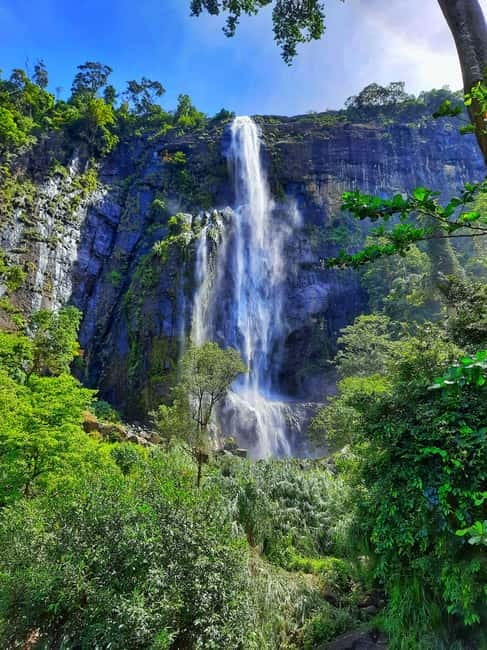 From Ella: Diyaluma Waterfall and Natural Pool Bath Tour - Diyaluma Falls: why this 220m waterfall pulls you in