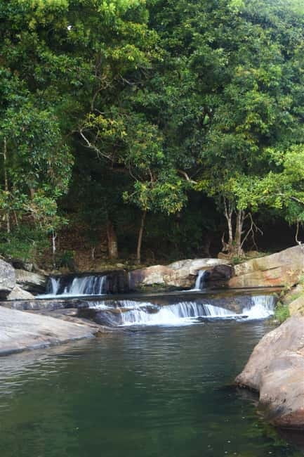 From Ella: Diyaluma Waterfall and Natural Pool Bath Tour - The rainforest walk: short hike, big payoff