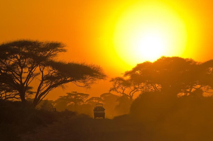 From Ella: Drop to Tangalle/Hiriketiya/Mirissa & Yala Safari - Leopard Odds and How to Manage Expectations Without Killing the Fun