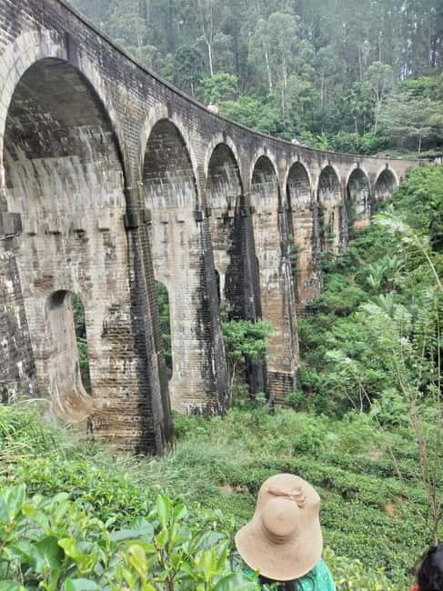 From Ella: Ella Unfogettable Day tour & Train Ride Tour - Key highlights at a glance