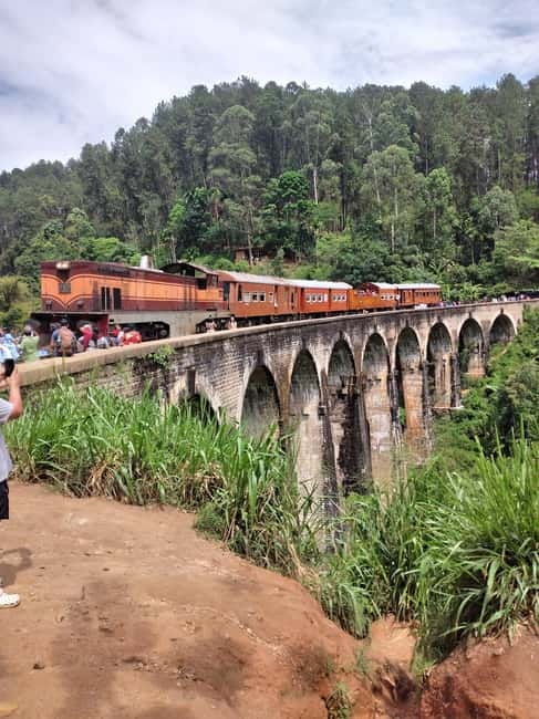 From Ella: Ella Unfogettable Day tour & Train Ride Tour - Tuk tuk routing and small-group timing that keeps the day workable