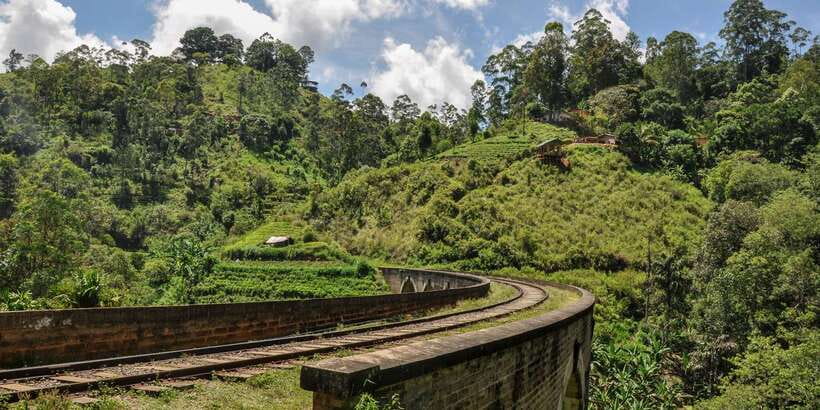 From Ella: Little Adam’s Peak and Nine Arches Bridge Hiking - Should you book Little Adam’s Peak and Nine Arches Bridge?