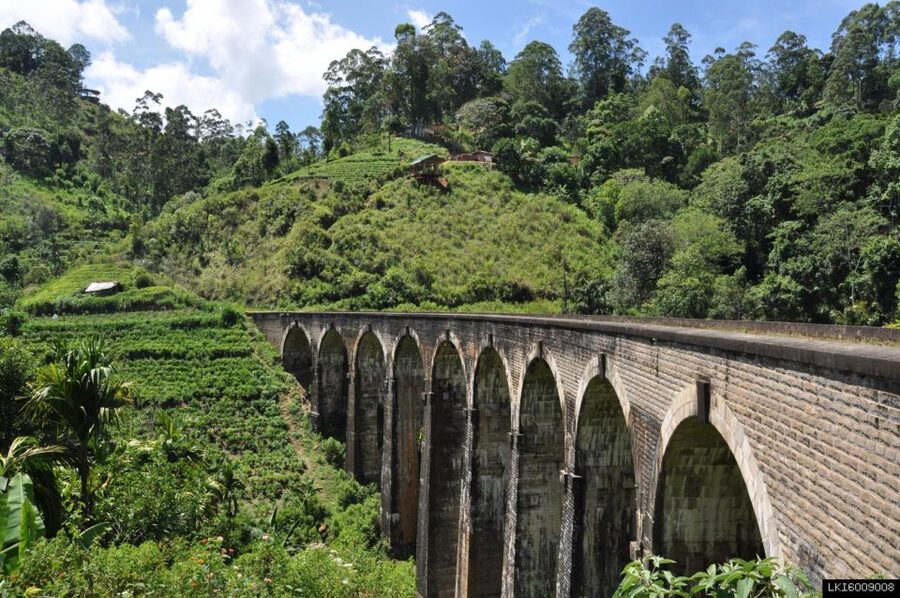From Ella: Little Adam’s Peak and Nine Arches Bridge Hiking - Price and value: what $86 covers in a 5-hour private outing