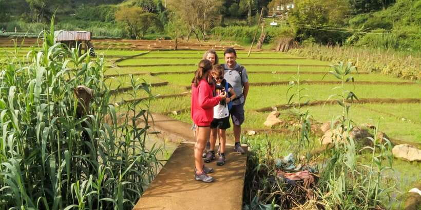 From Ella: Little Adam’s Peak and Nine Arches Bridge Hiking - The morning pace: how long things take and the one trade-off