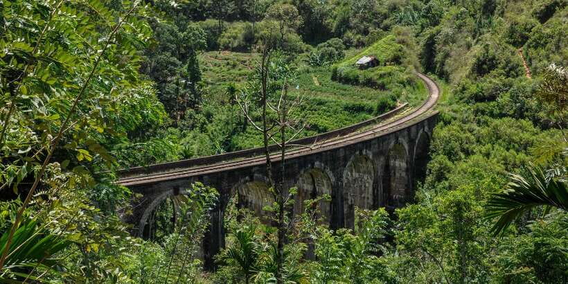From Ella: Little Adam’s Peak and Nine Arches Bridge Hiking - Who should book this hike in Ella