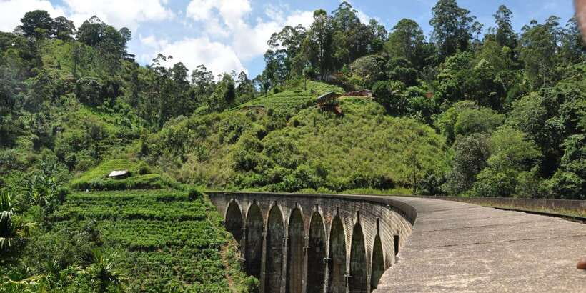 From Ella: Little Adam’s Peak and Nine Arches Bridge Hiking - From sunrise break to Nine Arches Bridge: woodlands and the rail walk