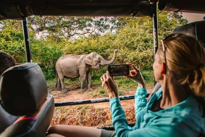 From Ella:Shuttle to Tangalle/Mirissa/Galle with Yala Safari Tour - How the Ella to south transfer actually works
