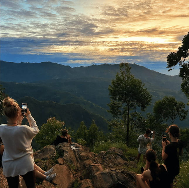 From Ella : Sunrise Hike to Little Adams Peak - Trekking through tea plantations: what the climb is really like