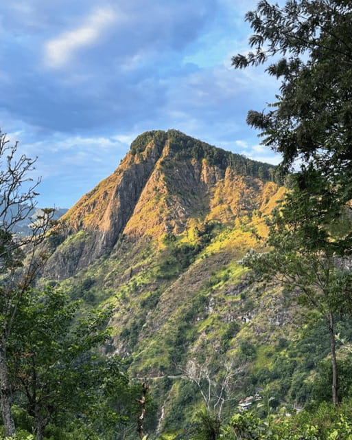 From Ella : Sunrise Hike to Little Adams Peak - Price and inclusions: is $16 good value?