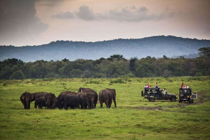 From Ella: Udawalawa Safari and Tangalle/Hiriketiya Transfer - Should you book Udawalawa plus the coast drop-off?