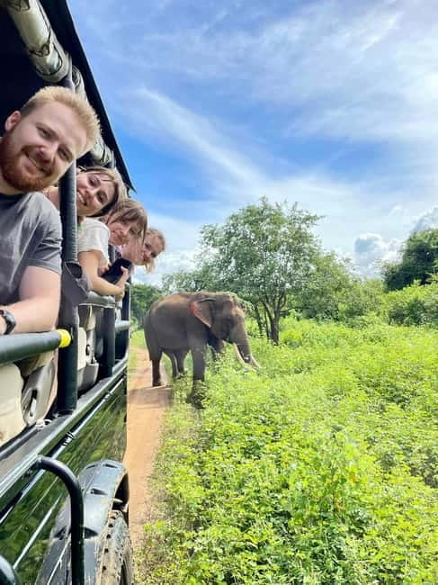 From Ella : Udawalawa Safari & Drop Tangalle/ Mirissa/ Galle - Elephant Transit Home feeding: the part that feels personal