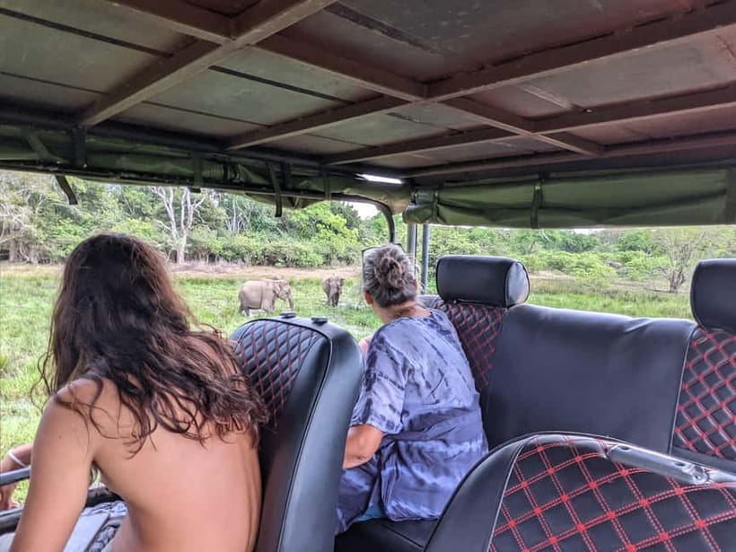 From Ella : Udawalawa Safari & Drop Tangalle/ Mirissa/ Galle - Udawalawe Reservoir photo stop, where the day slows down