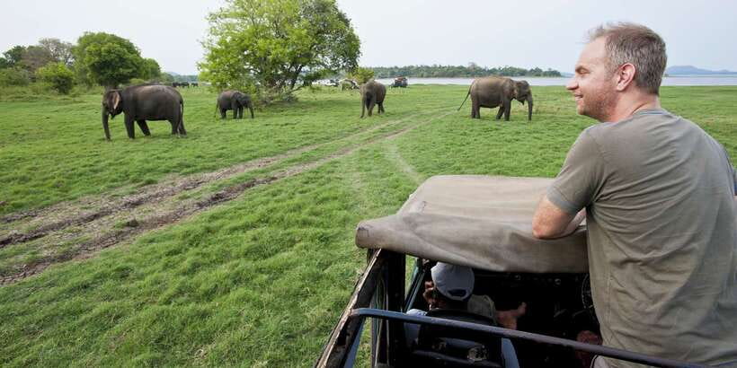 From Ella: Udawalawe Safari with Elephant Transit Home - Key highlights you should not miss