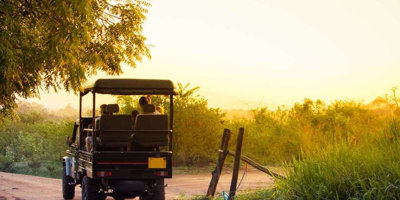 From Ella: Udawalawe Safari with Elephant Transit Home - Elephant Transit Home stop: what it adds beyond the safari