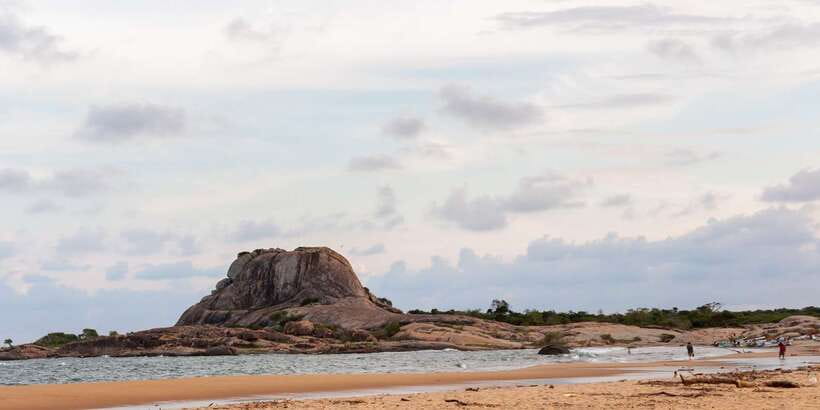 From Ella: Yala National Park Safari Tour in a 4x4 - Key Points That Matter Before You Go