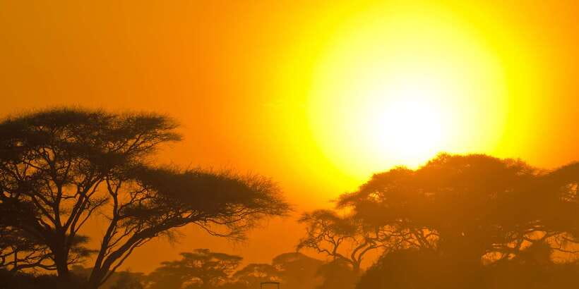 From Ella: Yala National Park Safari Tour in a 4x4 - The Golden Hours Safari in a 4x4: How Leopards Fit In