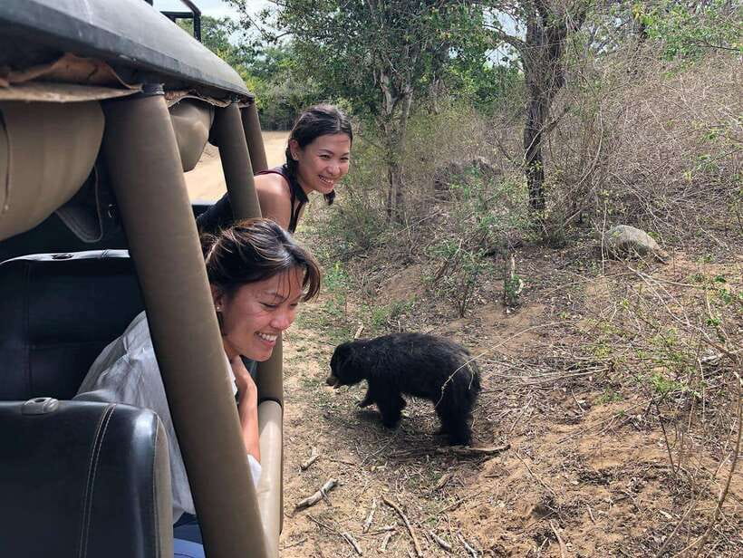 From Ella: Yala Safari Tour with Drop at Tangalle/Hiriketiya - Inside Yala: what that 4-hour safari feels like