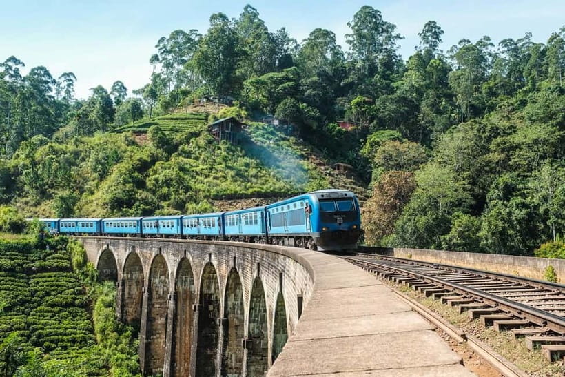 From Ella: Yala Safari & Transfer to Tangalle/Mirissa/Galle - Logistics that can make or break your day