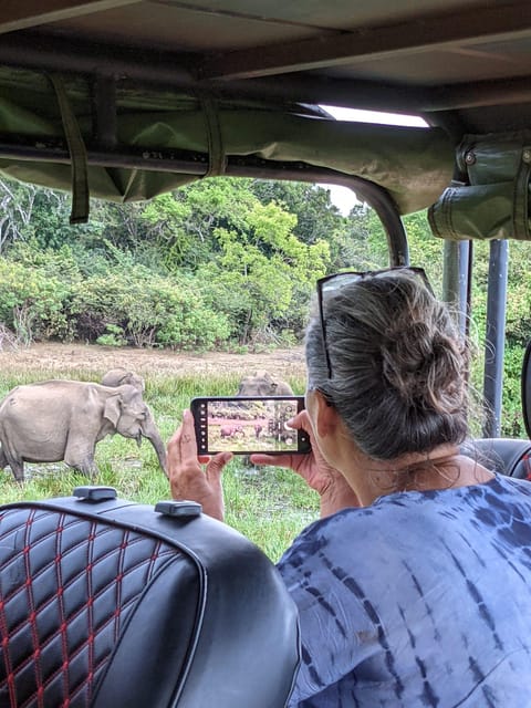 From Ella: Yala Safari & Transfer to Tangalle/Mirissa/Galle - Galle Fort and the cobblestone streets: quick culture with real atmosphere