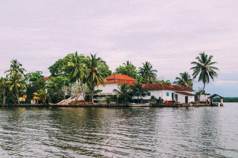From Galle: Exclusive Madu River Safari & Turtle Hatchery - Entering the Madu Ganga wetlands: what you’ll notice from the boat