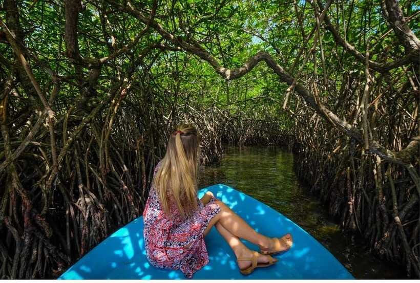 From Galle: Exclusive Madu River Safari & Turtle Hatchery - What to bring, and how to be ready for the day