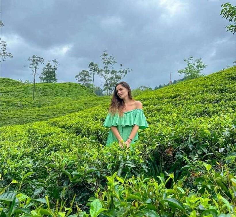 From Galle/Hikkaduwa/Mirissa -All-Inclusive Day Trip to Ella - Uva Halpewatte Tea Factory: tasting, learning, and buying if you want