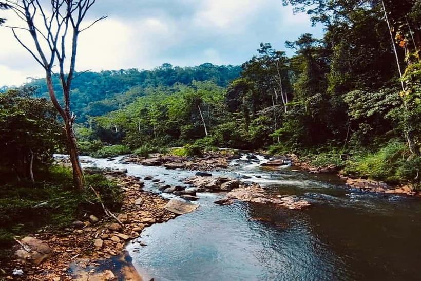 From Galle/Weligama/Mirissa/Matara: Day Trip to Sinharaja - What to pack so the rainforest day feels good