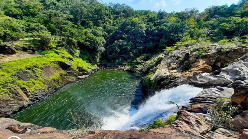 From Galle/Weligama/Mirissa/Matara: Day Trip to Sinharaja - A guided walk in the Sinharaja Forest Reserve