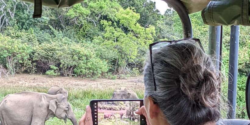 From Hikkaduwa/ Galle/ Mirissa - Yala National Park Safari - Why Yala feels like a true wildlife day from Hikkaduwa, Galle, or Mirissa