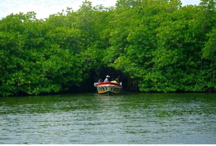 From Kalutara: Exclusive Madu River Safari & Turtle Hatchery - Cinnamon Island: a quick cultural stop with a real flavor