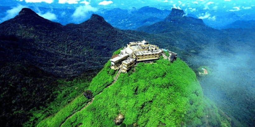 From Kandy: Adams Peak Guided hike via Peak Wilderness - The guided midnight climb: forested steps and steady pacing