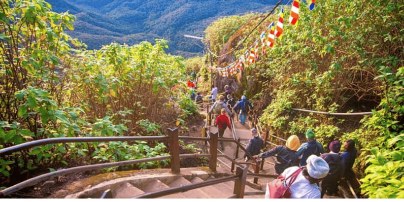 From Kandy: Adams Peak Guided hike via Peak Wilderness - The Mahagiridambe ascent: why the stairs are the star