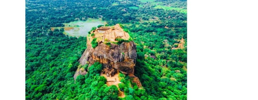 From Kandy: Dambulla to Sigiriya Day Tours - Minneriya National Park safari: wildlife time with breathing space