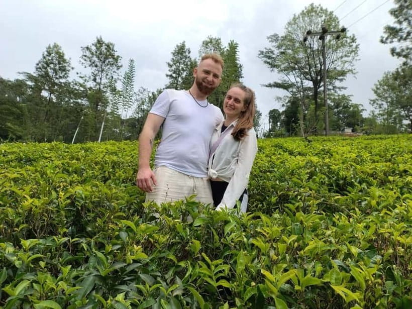 From Kandy: Ella Drop Tour via Nuwara Eliya - How much control do you get over your stops?