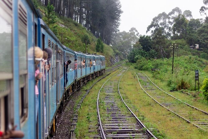 From Kandy: First Class Scenic Train Ticket To Ella - Price and Value: The Real Question Is Seat Certainty