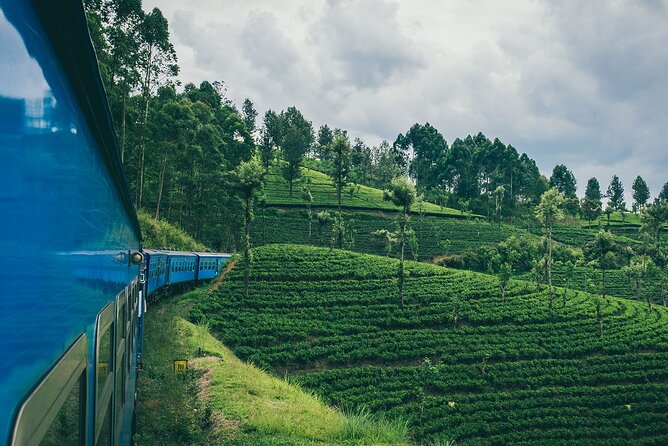 From Kandy: First Class Scenic Train Ticket To Ella - Who This Train Ride Suits Best