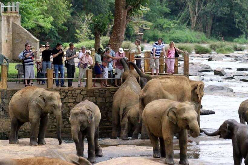From Kandy: Kandy To Pinnawala Day Tour by Tuk Tuk - The road stops that add culture without dragging your day