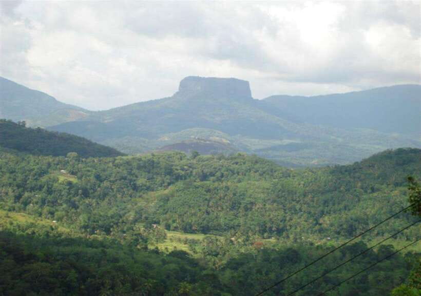 From Kandy: Kandy To Pinnawala Day Tour by Tuk Tuk - Value check: is $42 a good deal?