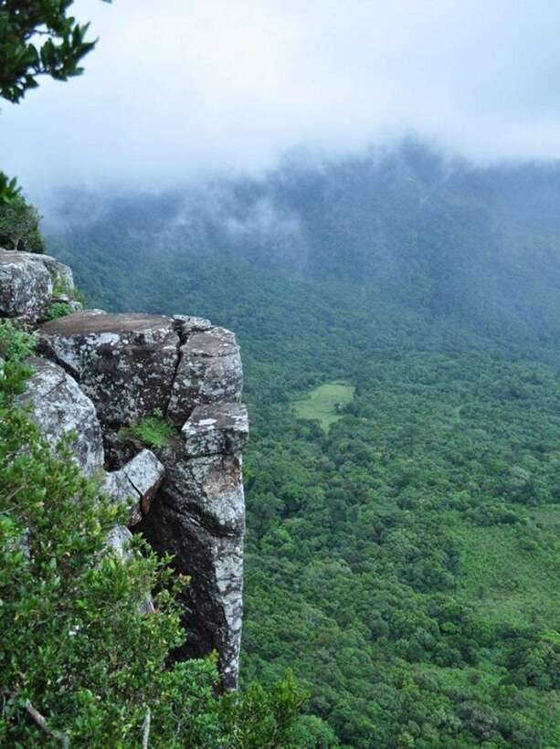 From Kandy: Knuckles Mountain Range Tuk Tuk Safari - Tuk tuk driving in the hills: fun, but take your time with the photos