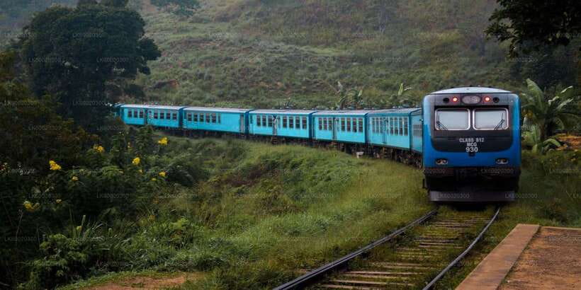From Kandy: Nuwara Eliya by Train - Key highlights you’ll feel on the ground