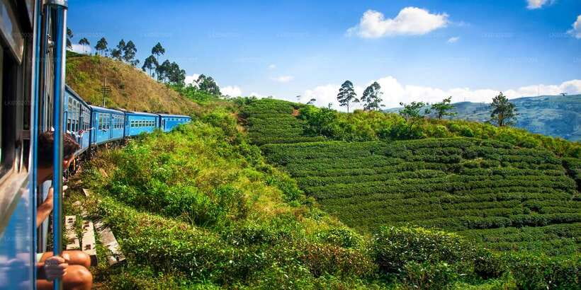 From Kandy: Nuwara Eliya by Train - Who This Tour Best Fits (And Who Might Want to Skip)