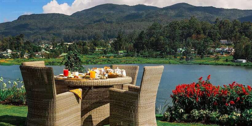 From Kandy: Nuwara Eliya by Train - Getting From Kandy to Nanu Oya: Pickup, Timing, and What You’ll Actually Do