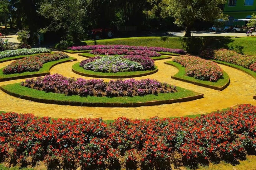From Kandy: Nuwara Eliya Tour via Ambuluwawa [Private Tour] - Practical logistics that make this day trip smoother