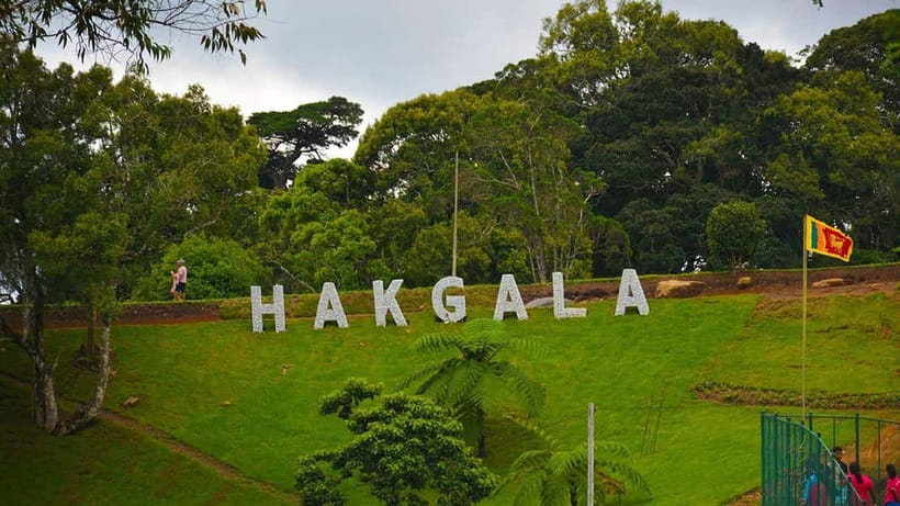 From Kandy: Nuwara Eliya Tour via Ambuluwawa [Private Tour] - Price and value: what $29 covers, and what costs extra