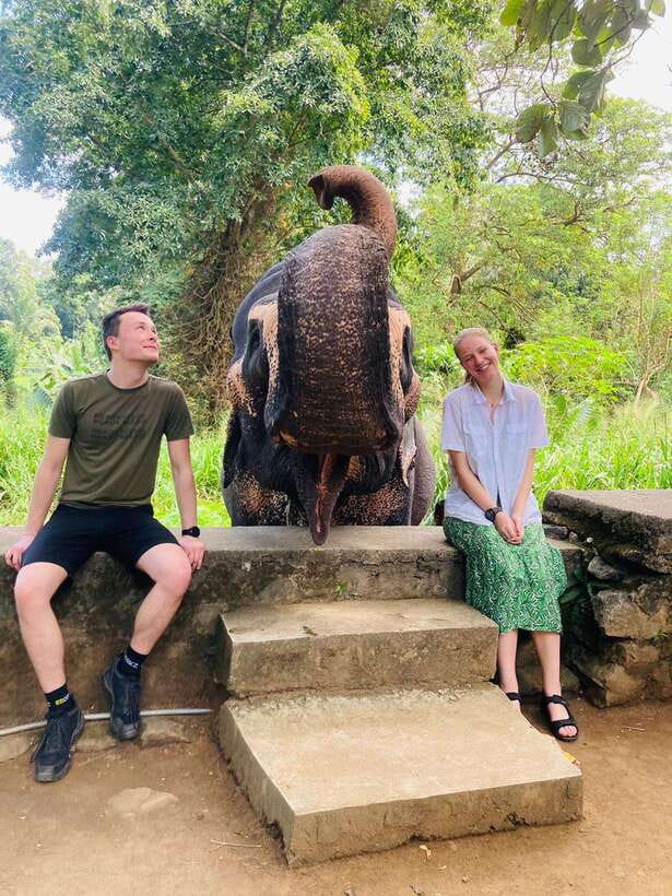 From Kandy : Pinnawala Elephant Orphanage & Ambuluwawa Tower - Pinnawala Elephant Orphanage: your morning with the gentle giants